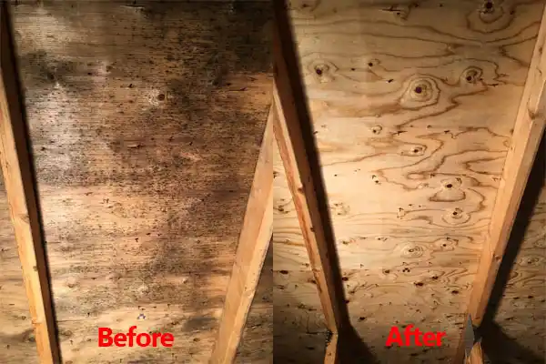 water damage restoration service Billings